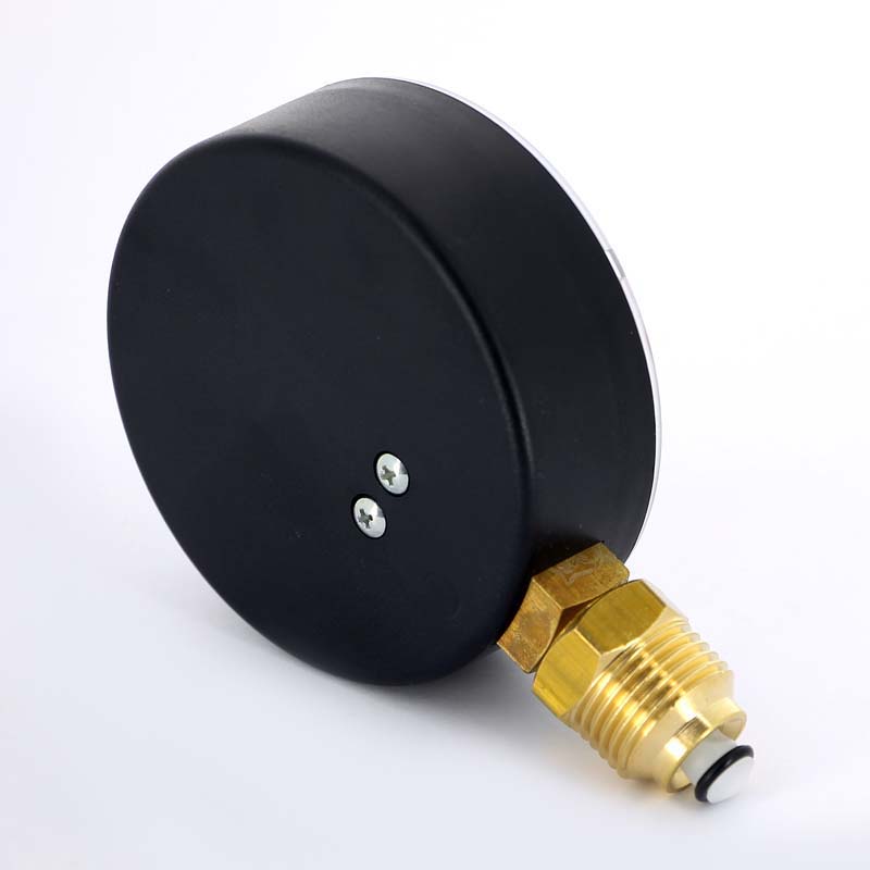 Радиальный термоманометр WATTS d=80 мм, до 120'С, до 4 бар F+R828