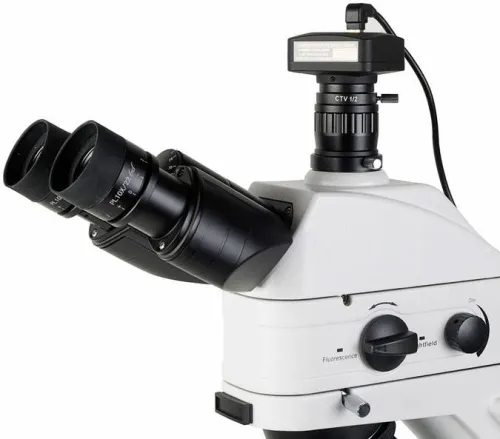 Микроскоп Микромед-3 Альфа, люминесцентный