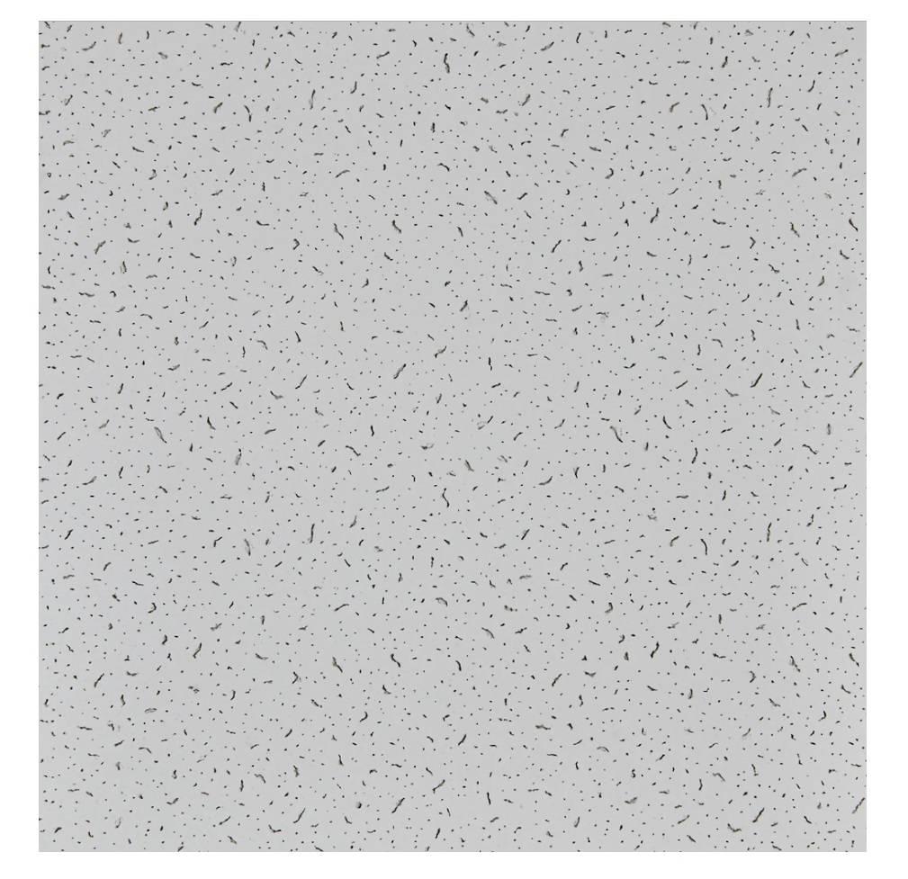 Плита потолочная Armstrong Bajkal Board 600х600х12 мм (20шт/уп)