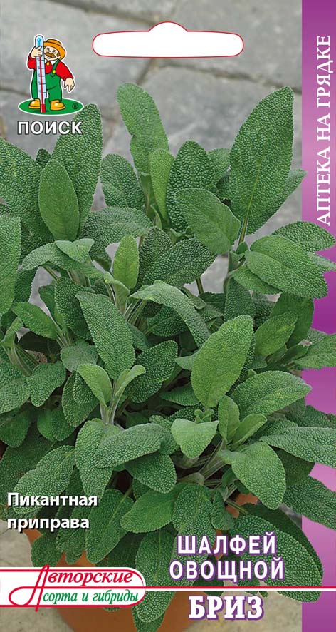 Семена шалфей овощной "бриз" (а) 0,5 г (10/100) "аптека на грядке"
