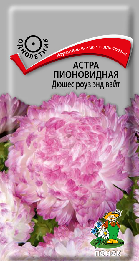Семена цветов астра пионовидная "дюшес роуз энд вайт" ("1) 0,3 г (10/100) "поиск"