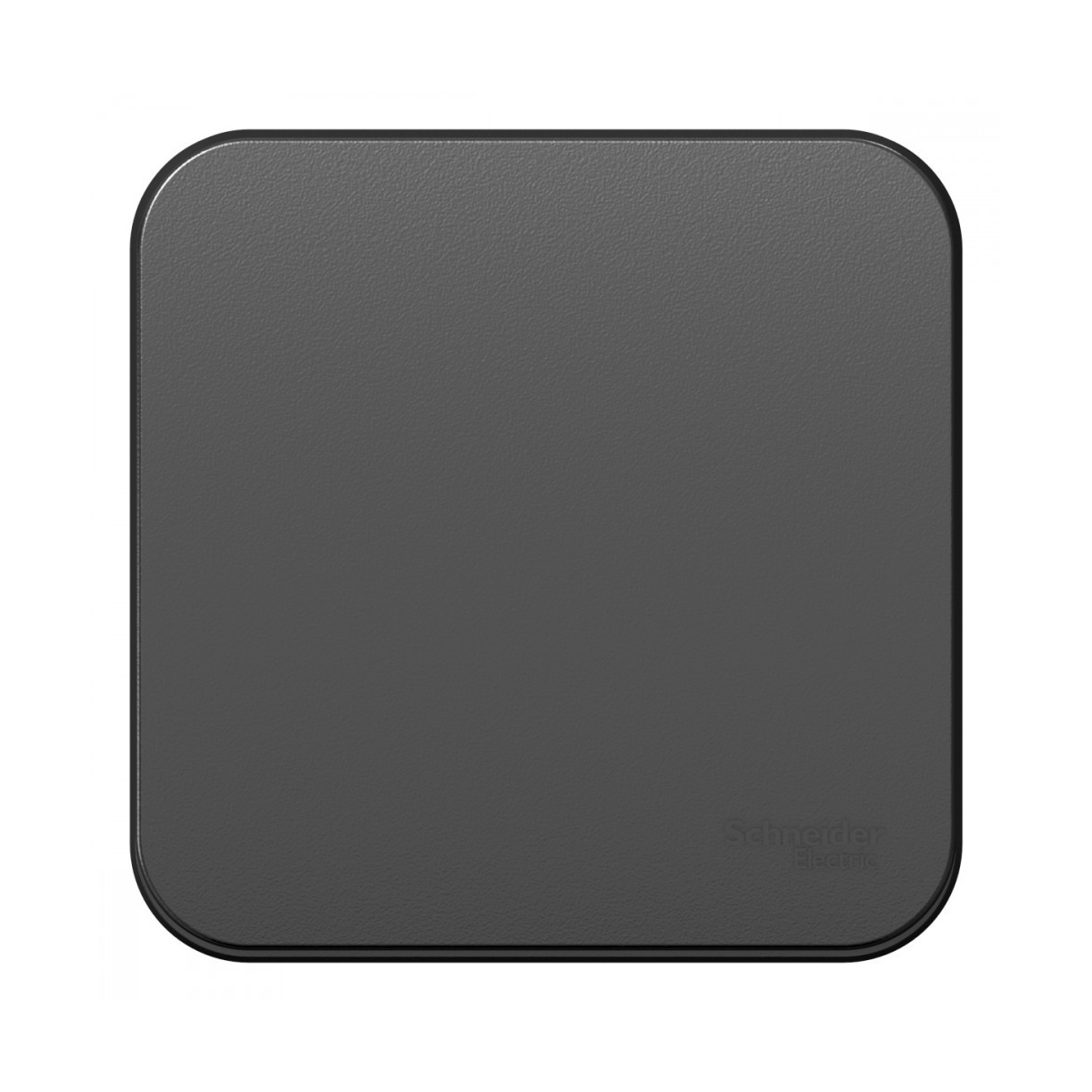 Переключатель открыт. уст. "blanca" 1 кл. 10а, антрацит (1/15/30) "schneider"