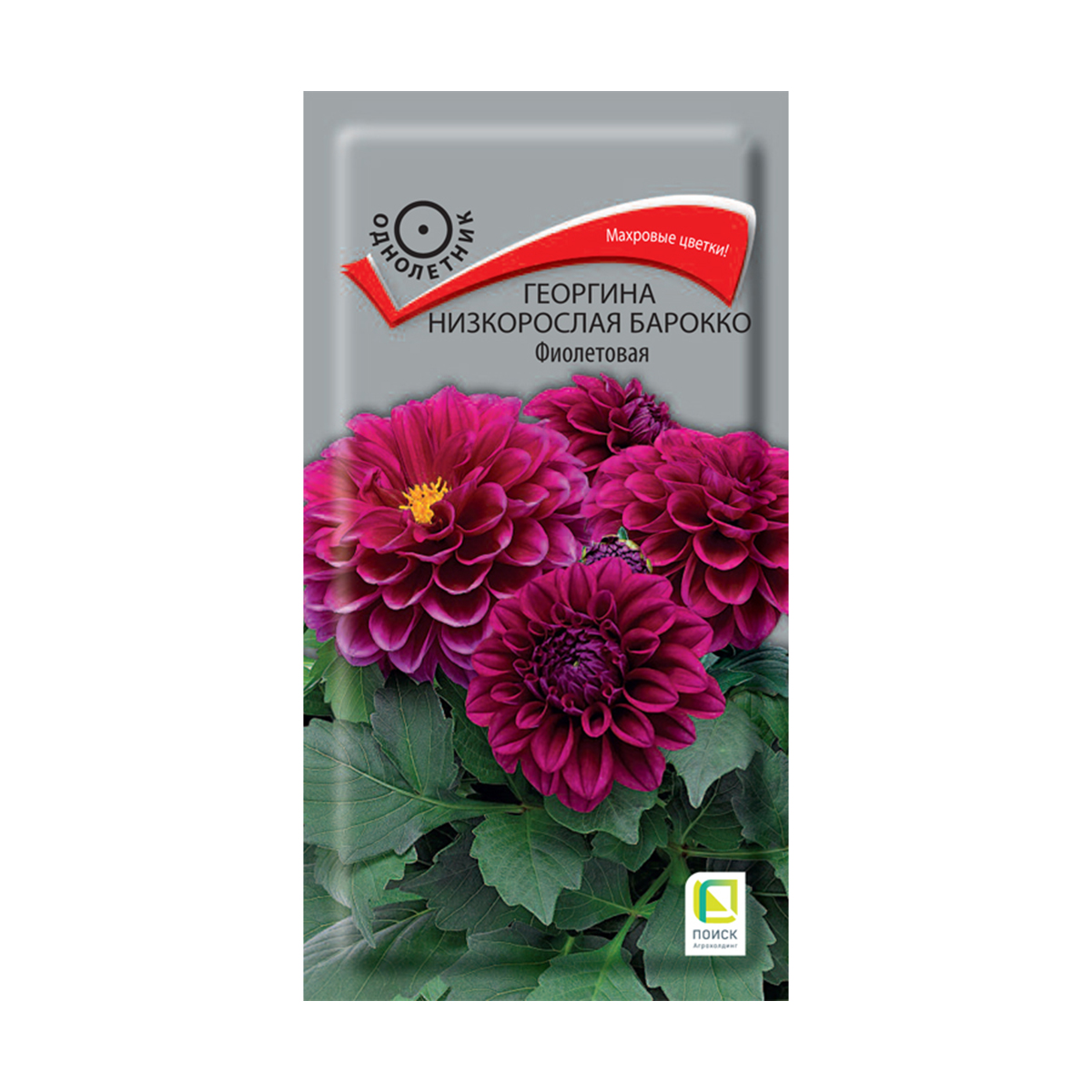 Семена цветов георгина низкорослая "барокко фиолетовая" 0,1 г  ("1) (10/100) "поиск"