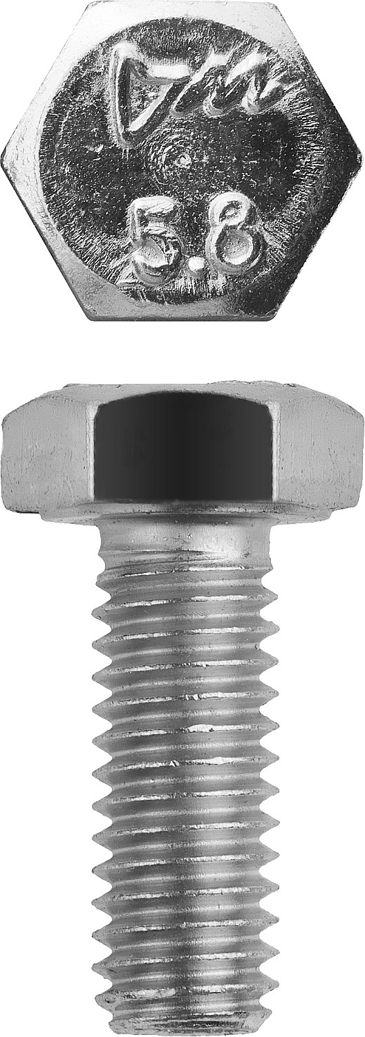 ЗУБР ГОСТ 7798-70, кл. пр. 5.8, M6 х 12 мм, цинк, 5 кг, болт (303080-06-012)