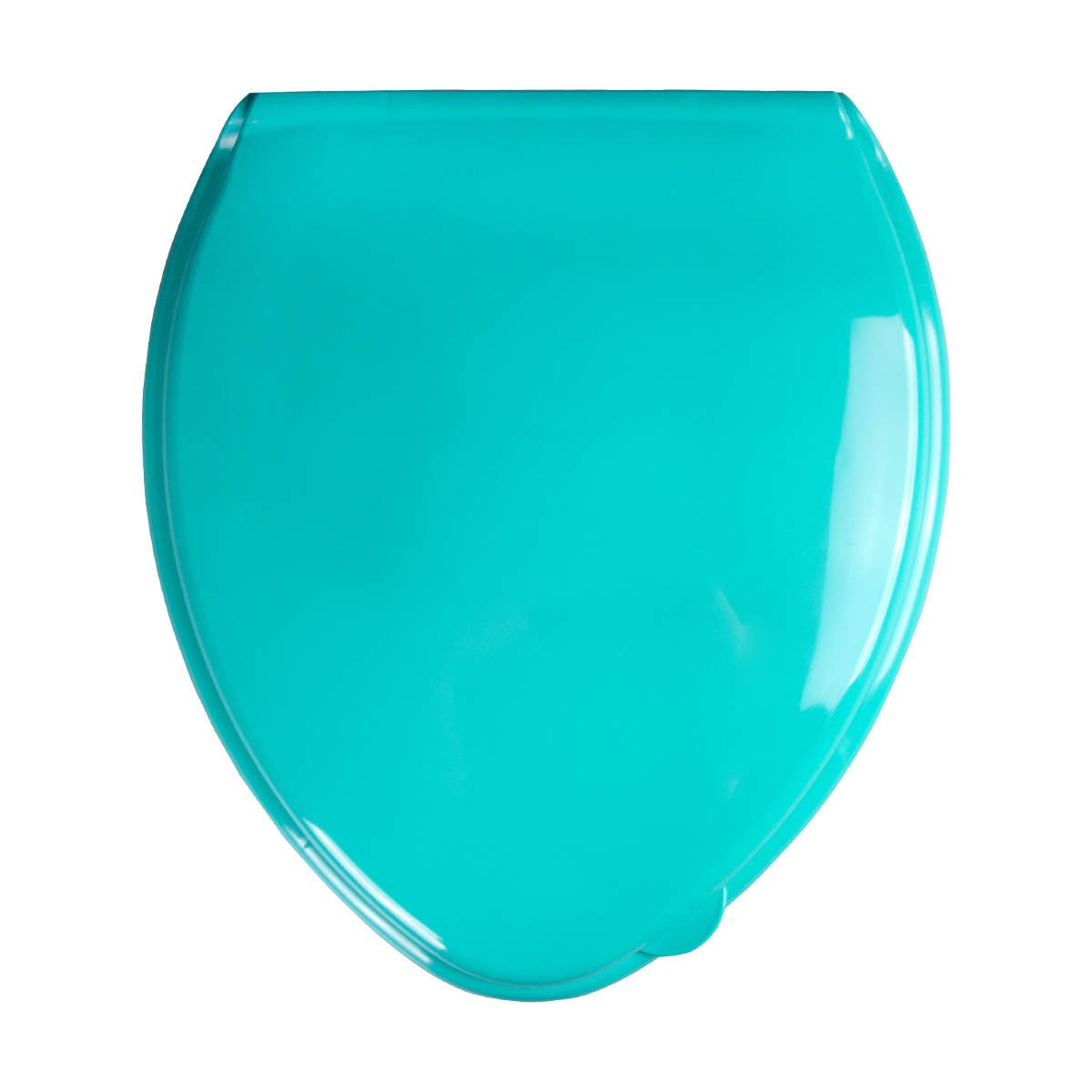 Сиденье для унитаза бирюза (1/9) "мультипласт"
