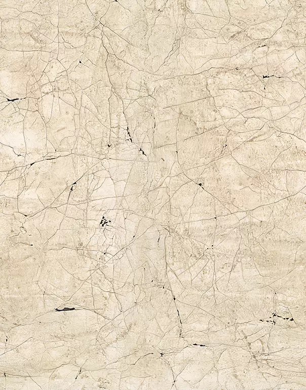 Виниловые обои Marburg New Spirit 32756 2.70 х 2.12