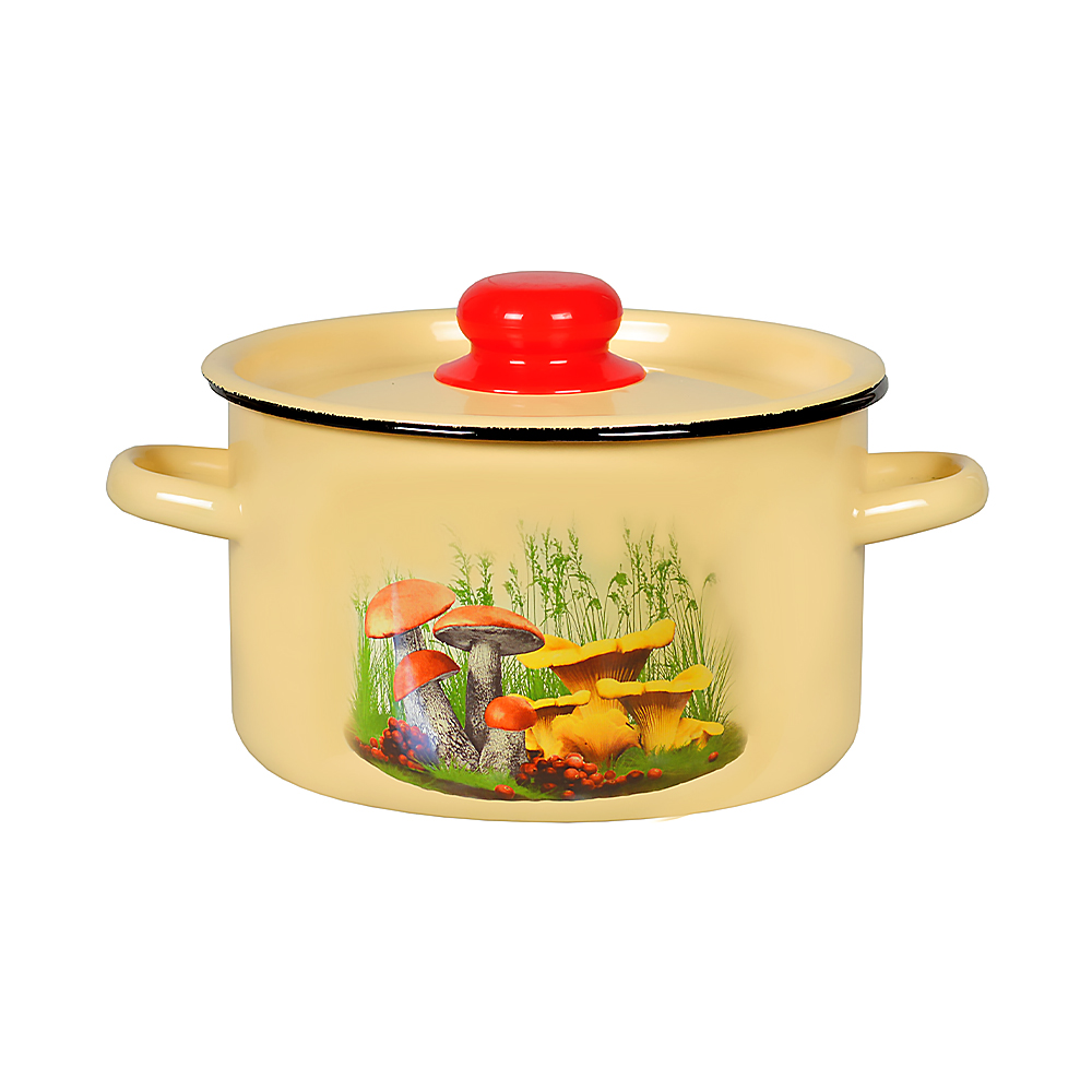 Кастрюля эмалиров. с крышкой декор. 7 л (1/2) "стальэмаль"  1с18с