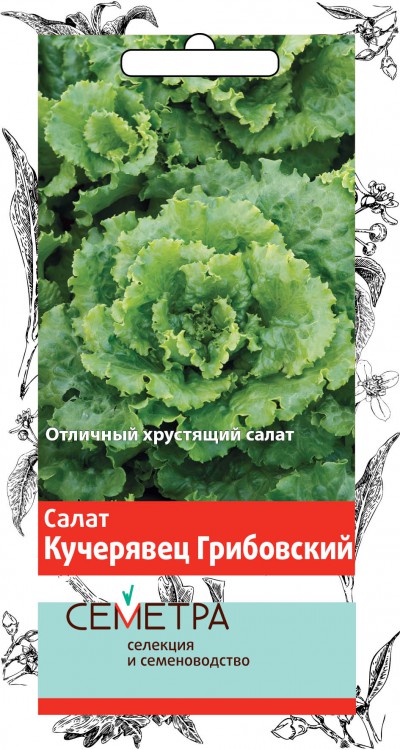 Семена салат "кучерявец грибовский" 1 г (10/100) "семетра"