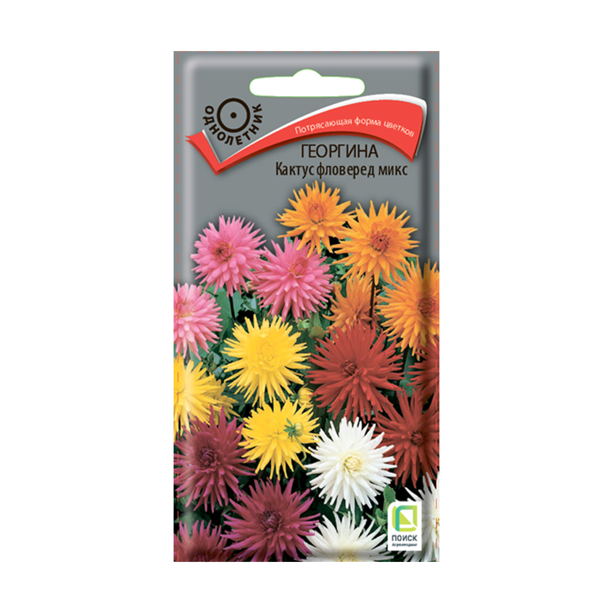 Семена цветов георгина кактус "фловеред микс" 0,2 г  ("1) (10/100) "поиск"