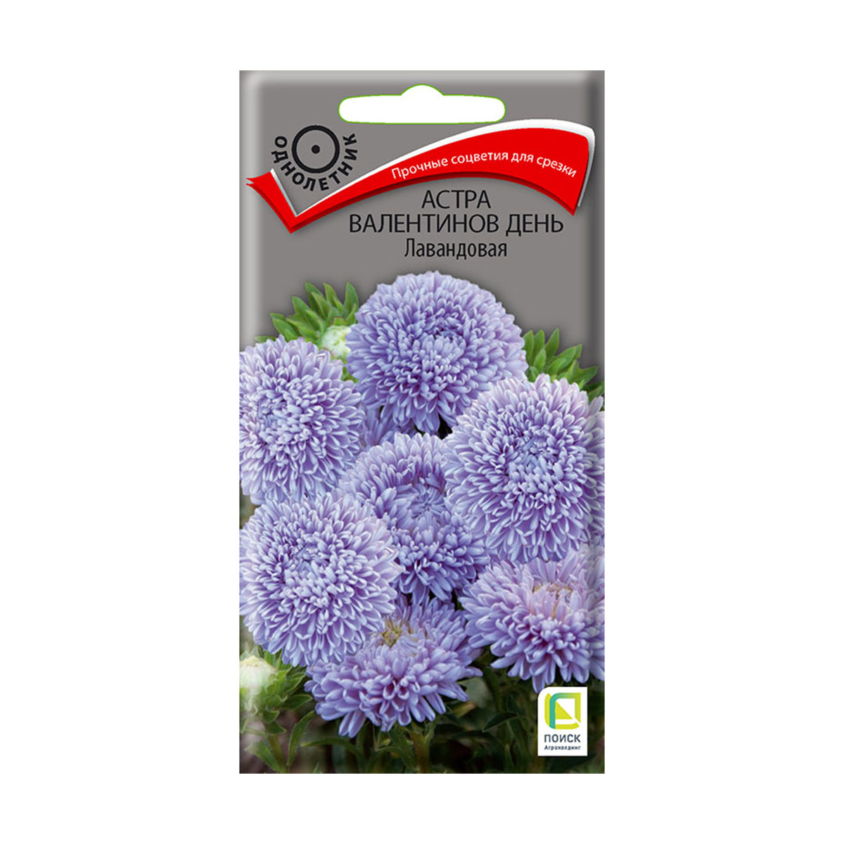 Семена цветов астра "валентинов день", лавандовая ("1) 0,2 г (10/100) "поиск"