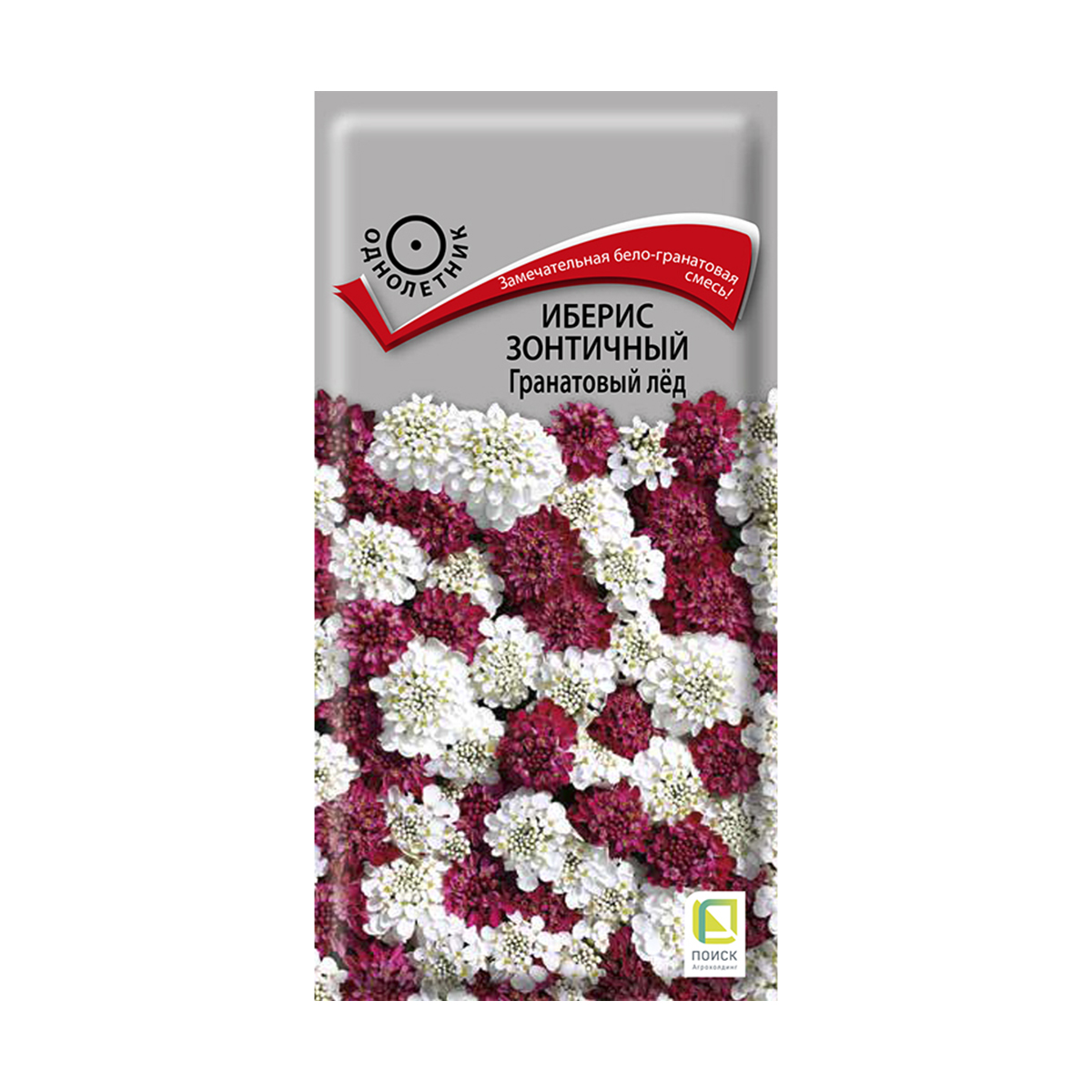 Семена цветов иберис зонтичный "гранатовый лед" 0,1 г  ("1) (10/100) "поиск"