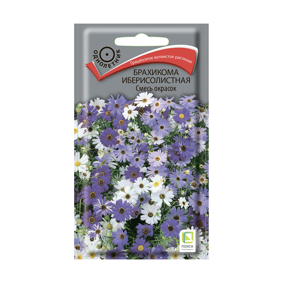 Семена цветов брахикома иберисолистная, смесь окрасок 0,03 г  ("1) (10/100) "поиск"