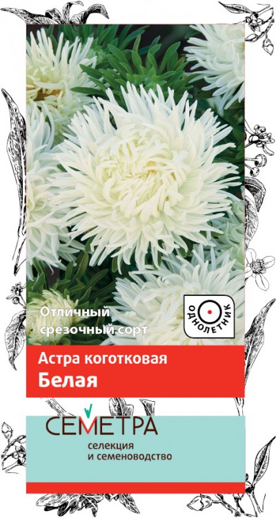 Семена цветов астра коготковая, белая ("1)  0,3 г (10/1500) "семетра"