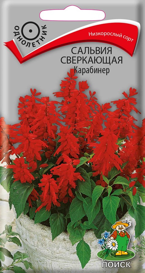 Семена цветов сильвия сверкающая "карабинер" ("1)  0,1 г (10/100) "поиск"