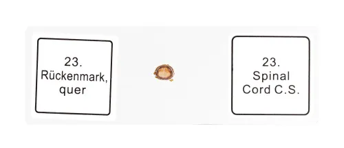 Набор микропрепаратов Bresser 25 шт., в кейсе