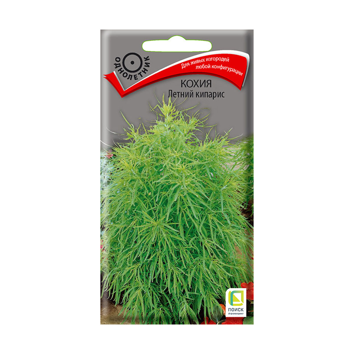 Семена цветов кохия "летний кипарис" 0,2 г  ("1) (10/100) "поиск"