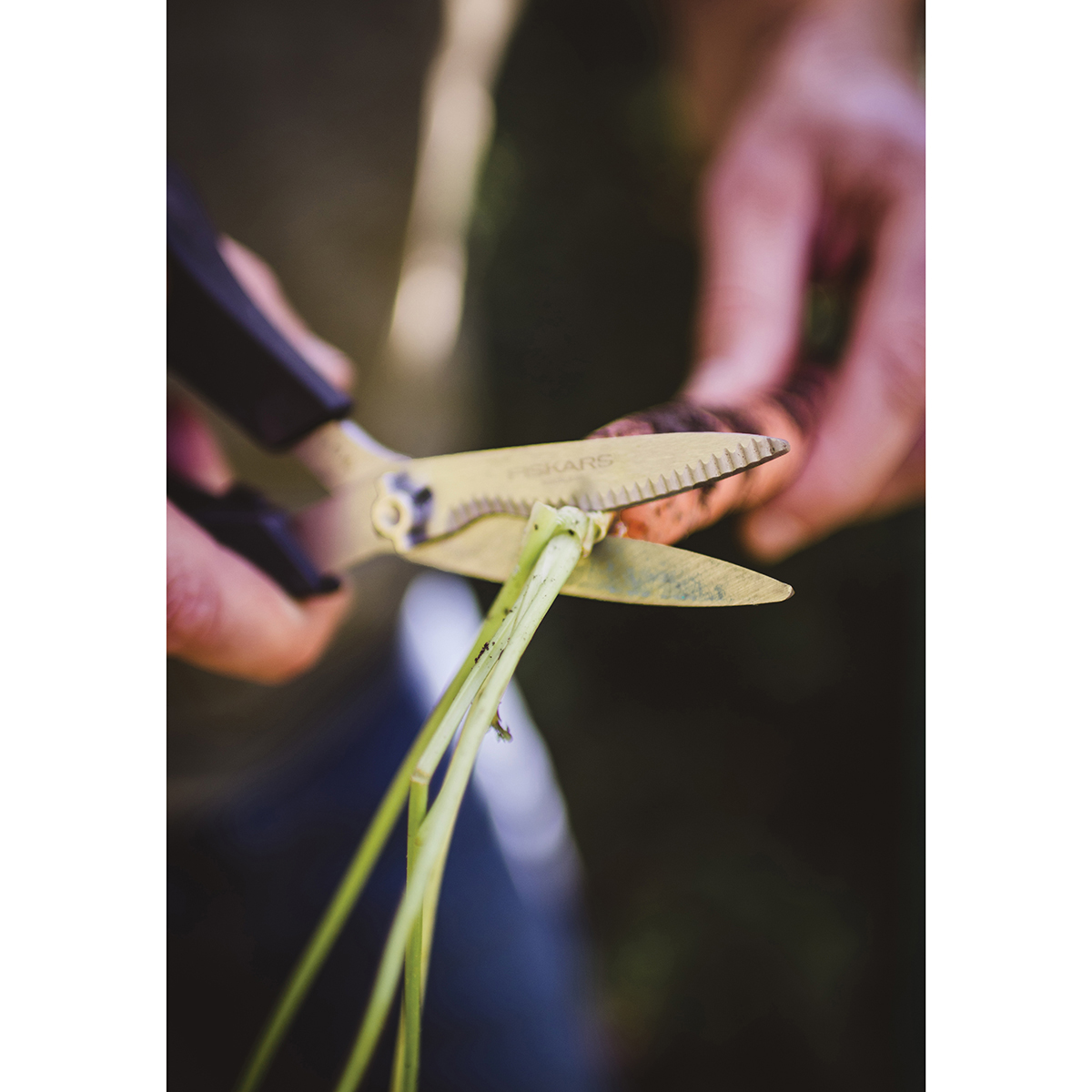 Ножницы для овощей "solid" sp240 (1/4) "fiskars" 1063327