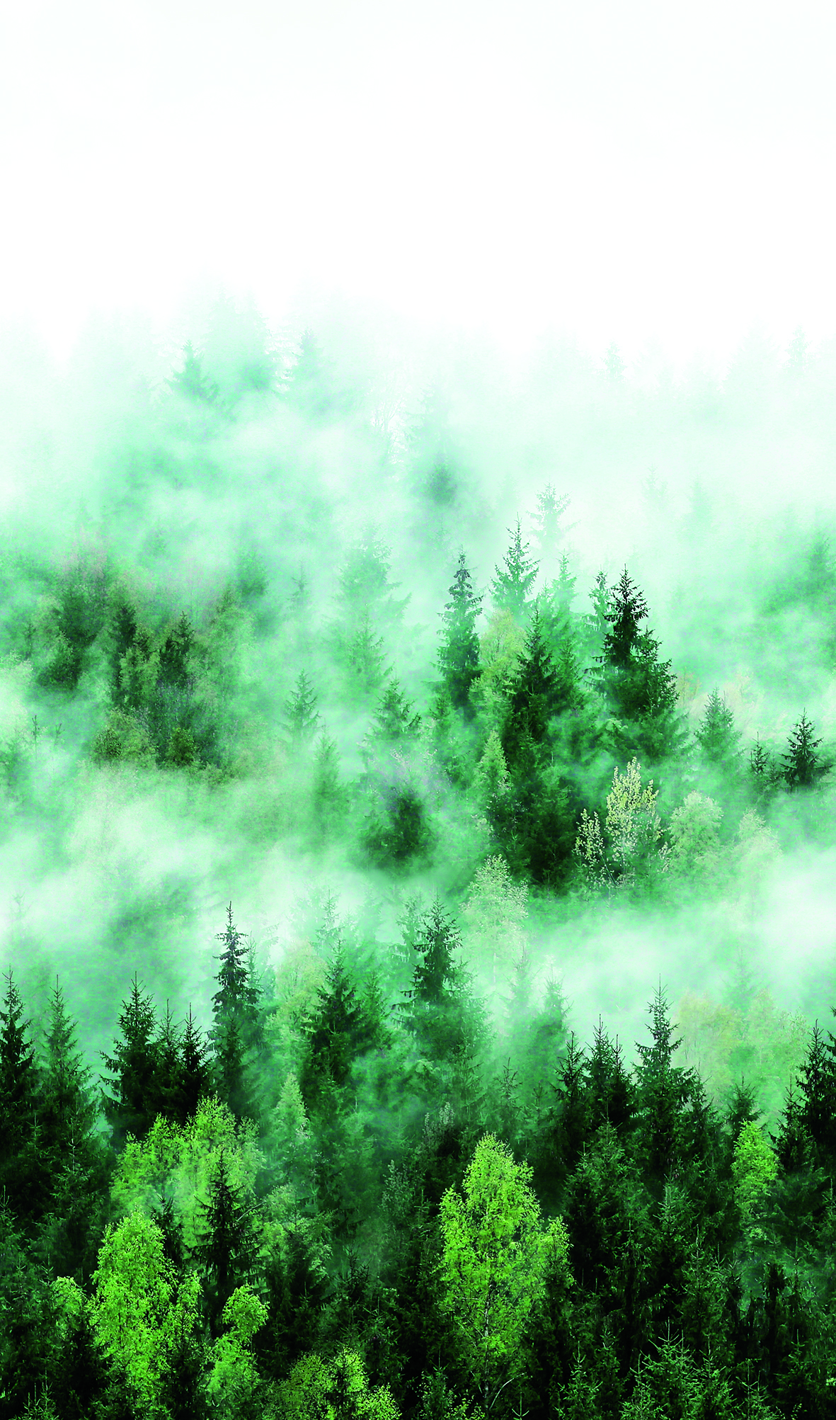 Виниловые обои Marburg Smart Art 47267 2.70 х 1.59