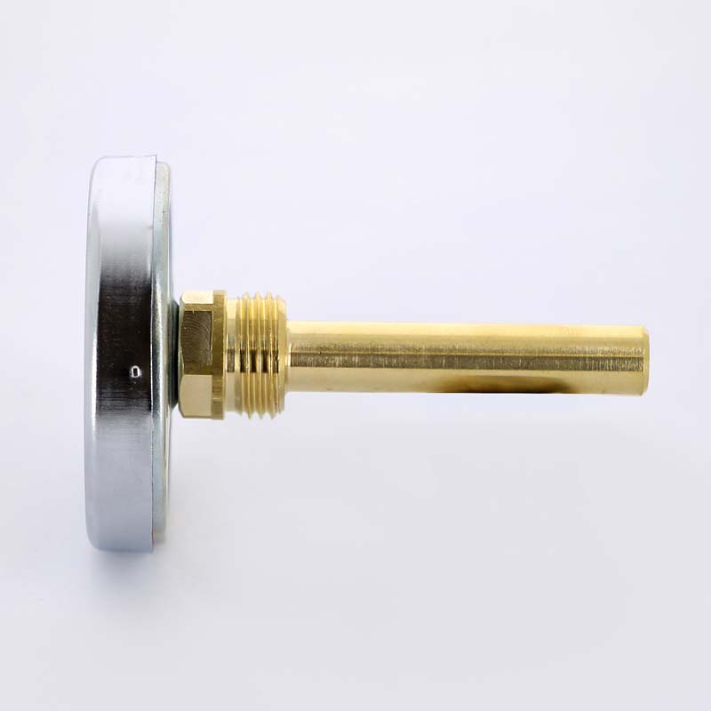 Термометр биметаллический F+R801 63 мм 120° WATTS с погружной гильзой 75 мм