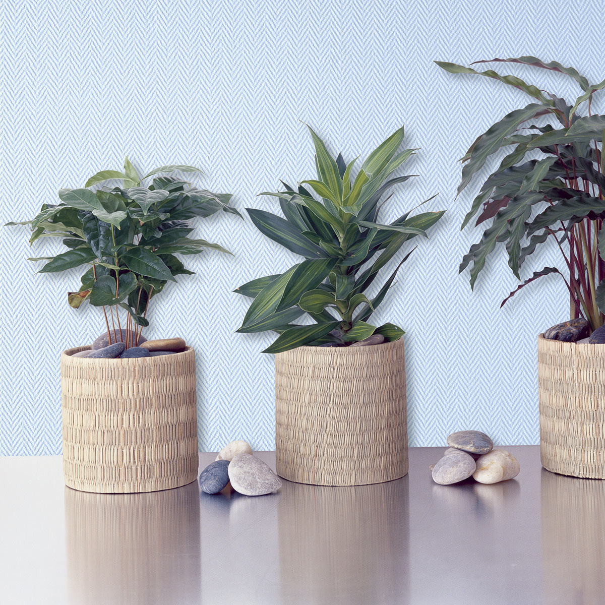 Стеклообои "wellton optima" елка мелкая 1 х 25 м  wo116