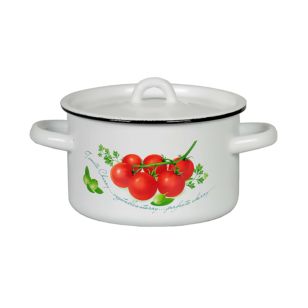 Кастрюля эмалиров. с крышкой декор. 2,9 л (1/6) "стальэмаль"  1с16с/1