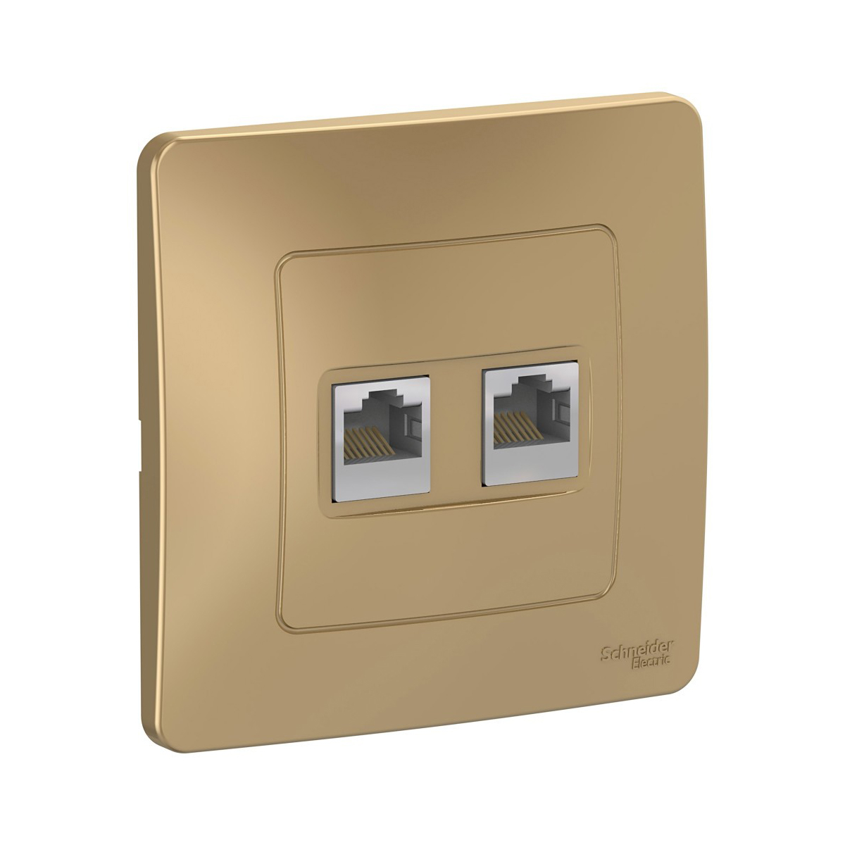 Розетка компьютерная "blanca" 2-х местн. rj45, титан (1/10/20) "schneider"