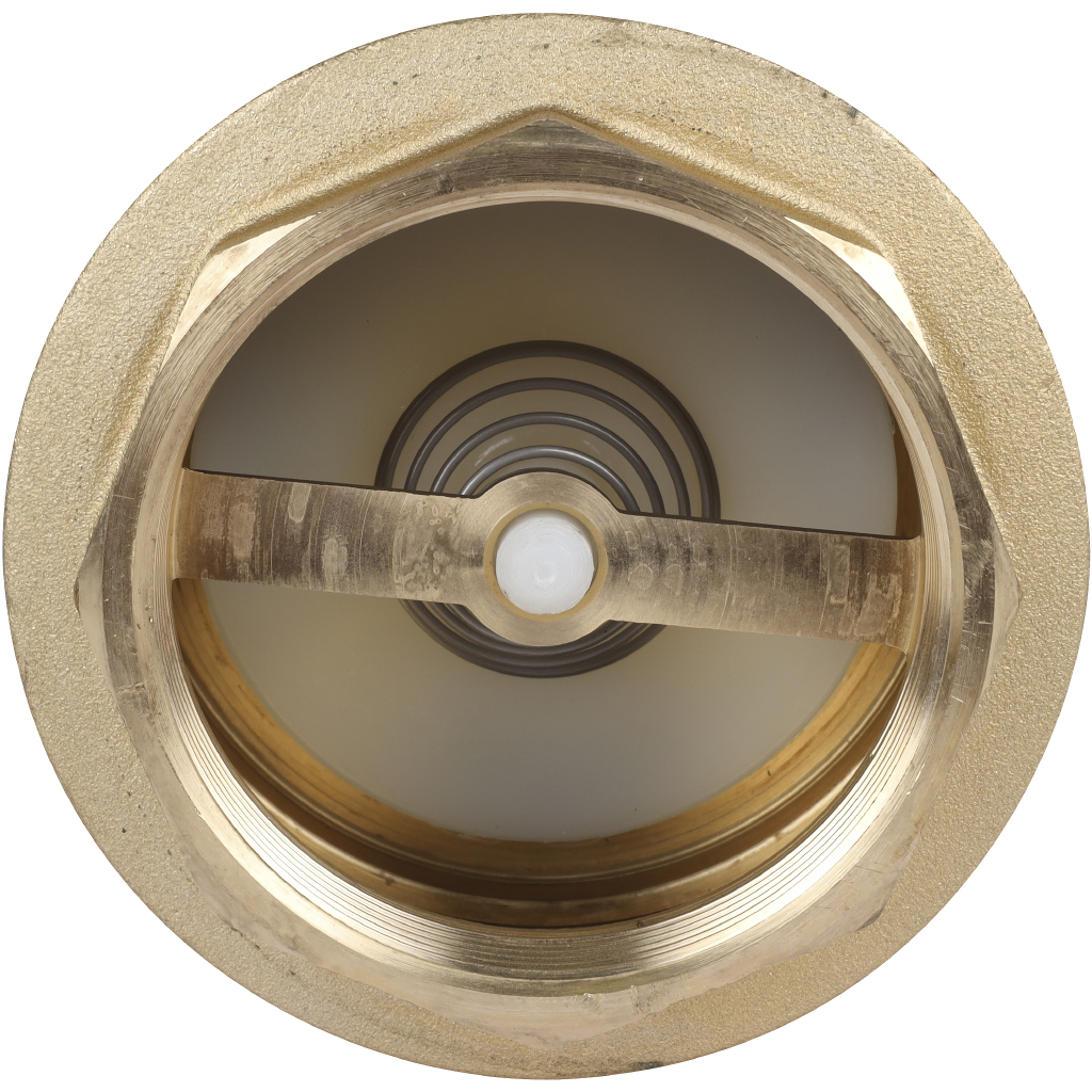 Клапан YORK ITAP 103 обратный пружинный (пластиковое седло) 3"