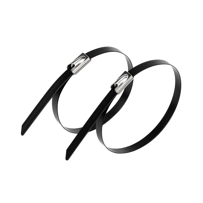 Хомуты сталь с полимерным покрытием 4,6 х 300 мм (набор 50 шт.) (1/10/100) "rexant" 07-0308-5