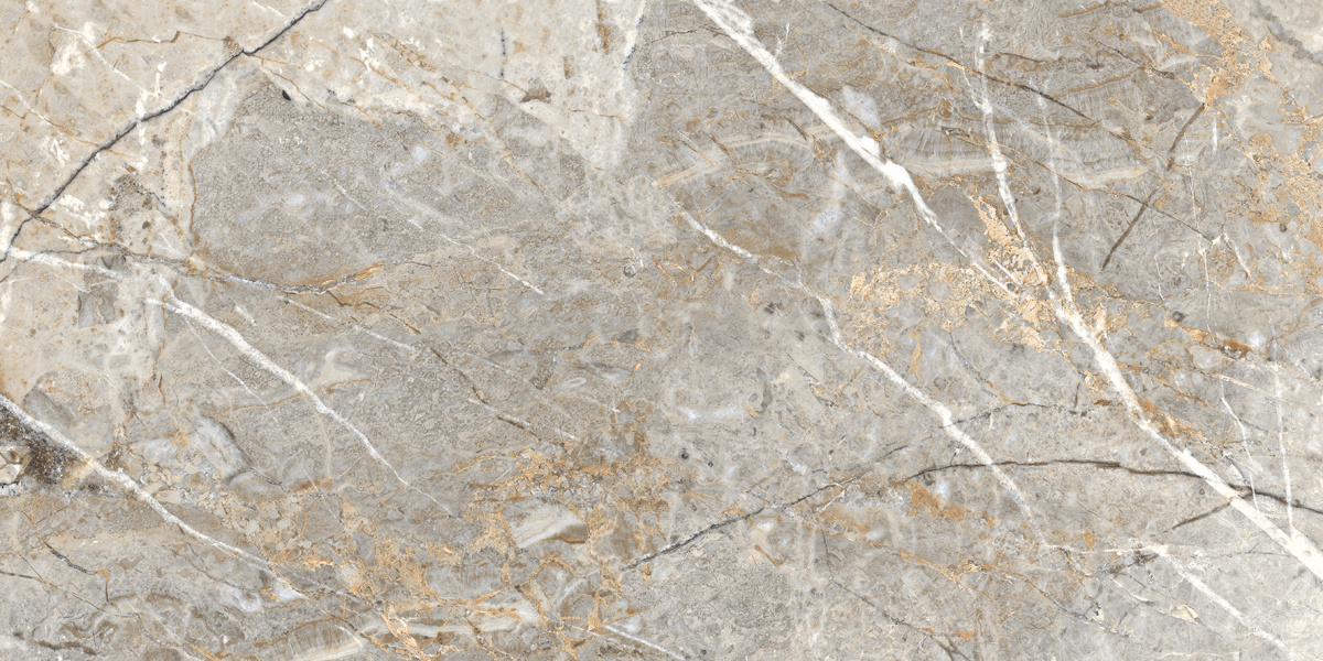 Fantastico grey granito керамогранит полированный 60x120