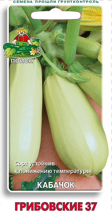 Семена кабачок "грибовские 37" 12 шт. (10/100) "поиск"