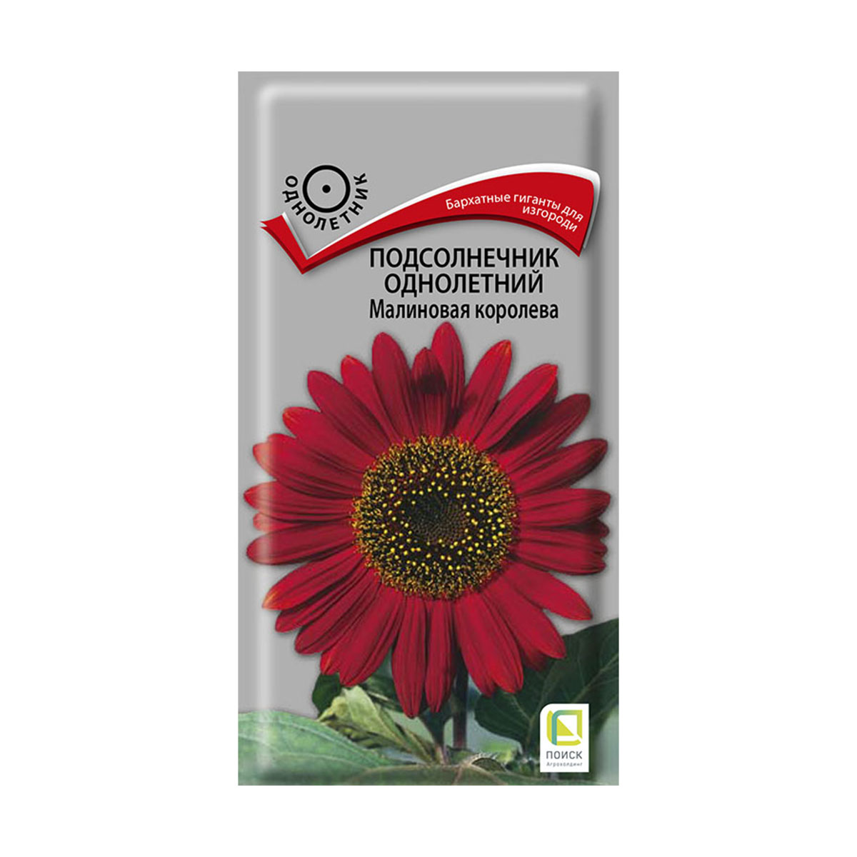 Семена цветов подсолнечник однолетний "малиновая королева" 0,5 г  ("1) (10/100) "поиск"