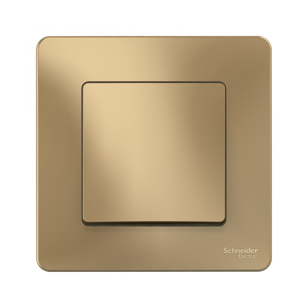 Выключатель "blanca" 1 кл. 10а, титан (1/10/20) "schneider"