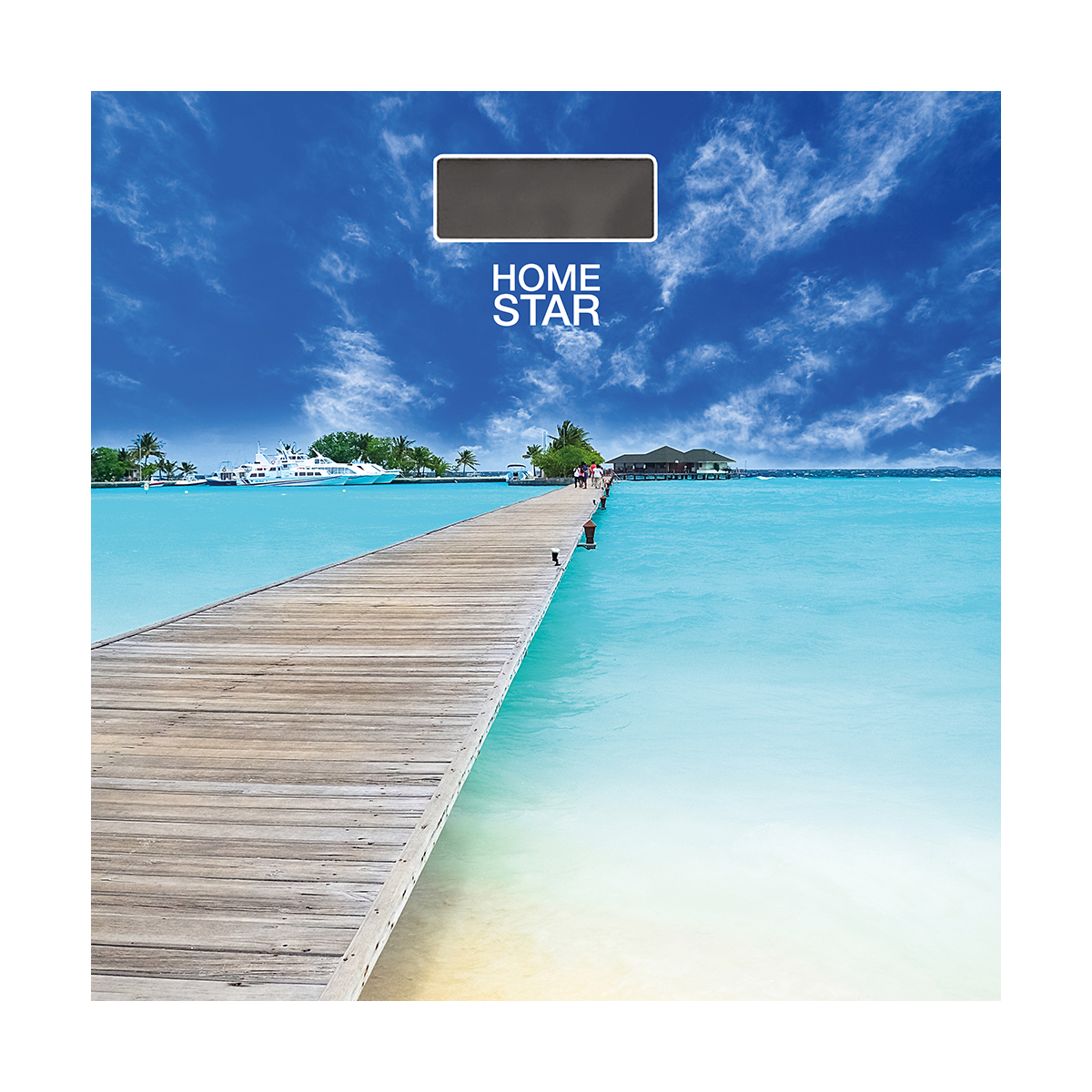 Весы напольные электронные "homestar" hs-6001r (1/8)