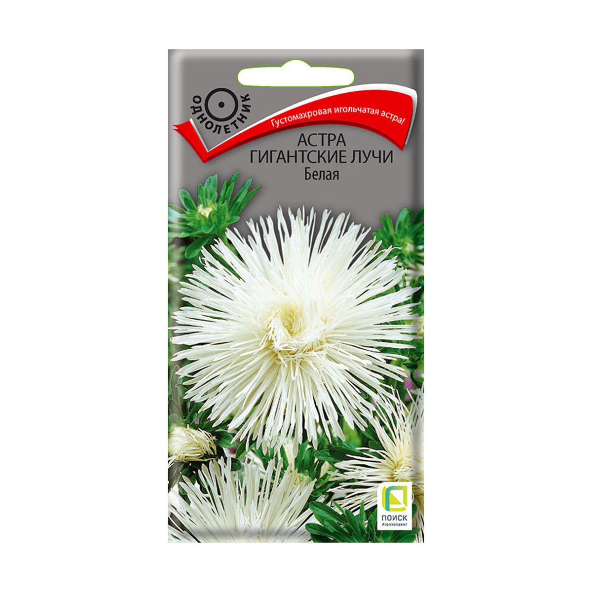 Семена цветов астра "гигантские лучи", белая ("1) 0,3 г (10/100) "поиск"
