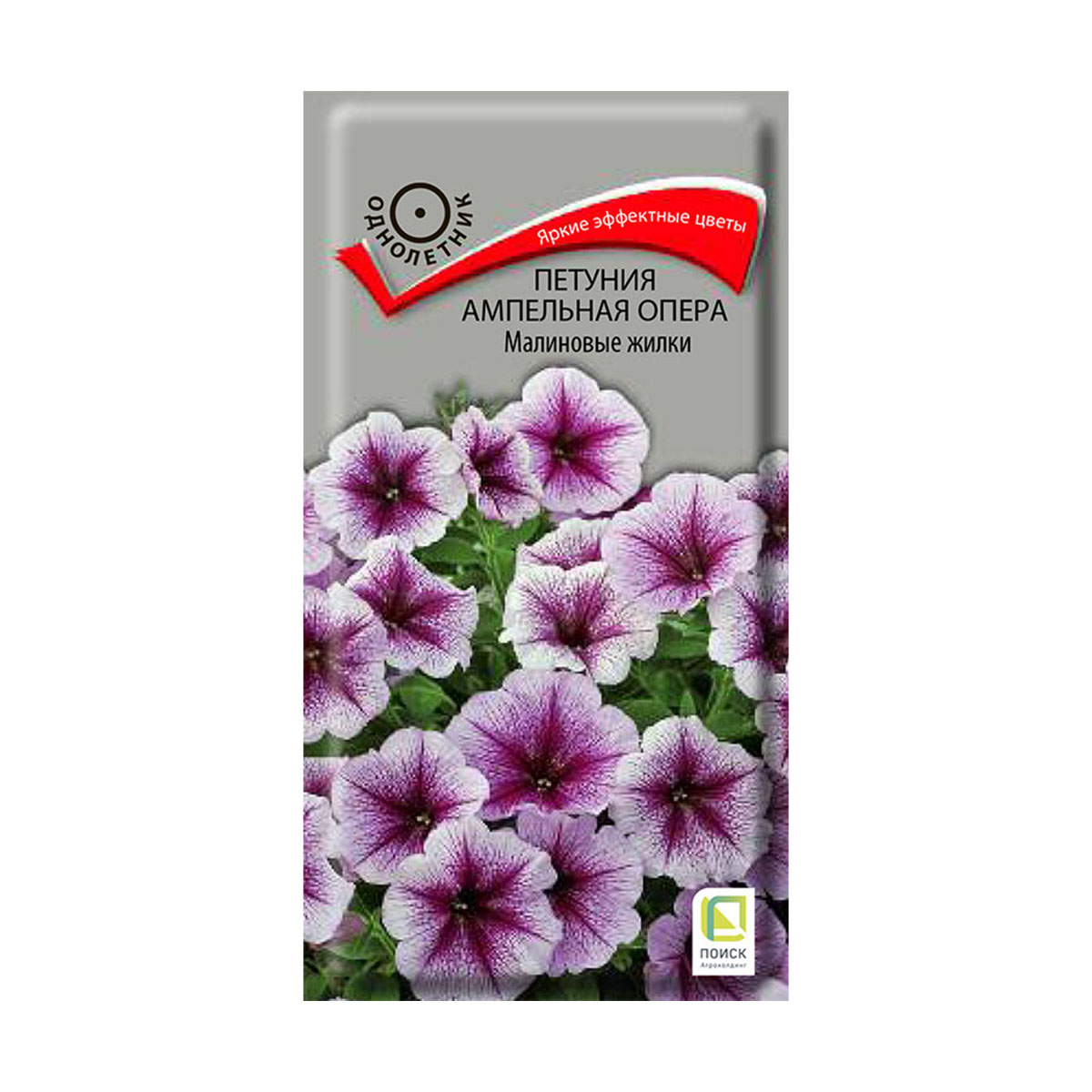 Семена цветов петуния ампельная "опера", малиновые жилки 5 шт.("1) (10/100) "поиск"
