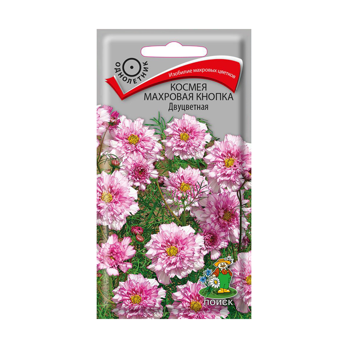 Семена цветов космея махровая "кнопка двуцветная" 0,1 г  ("1) (10/100) "поиск"