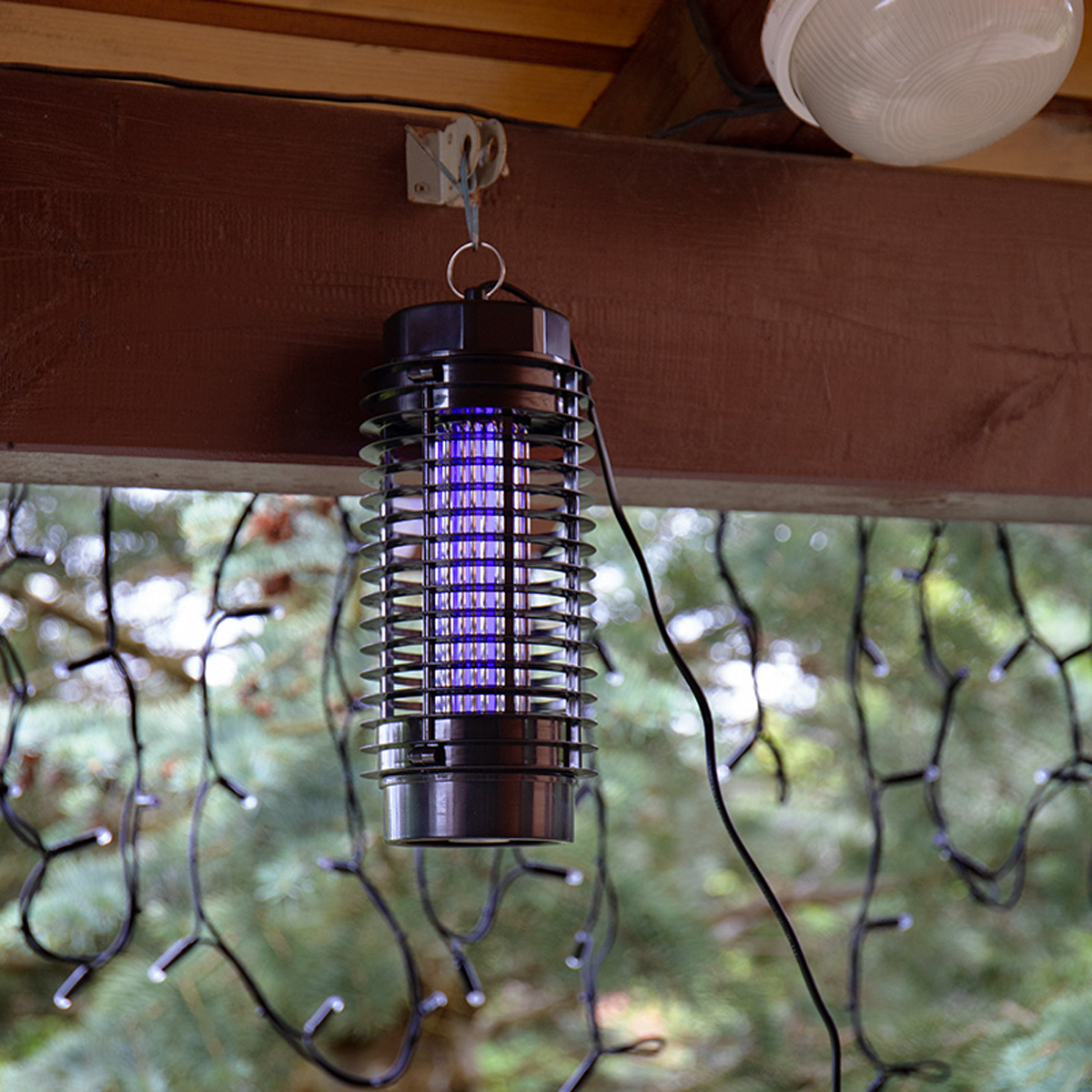 Лампа антимоскитная r30  3вт 220в (1/12) "rexant" 71-0016