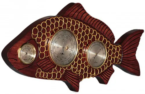 Метеостанция «Рыба»