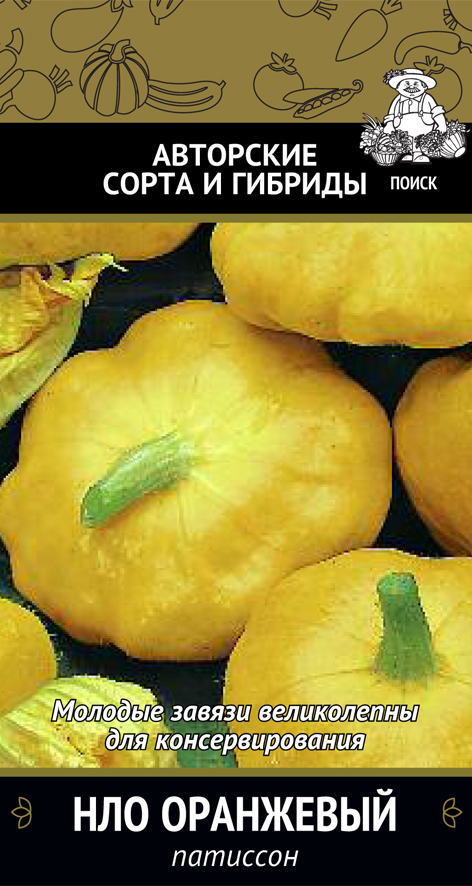 Семена патиссон "нло оранжевый" (а) 12 шт. (10/100) "авторские сорта и гибриды"