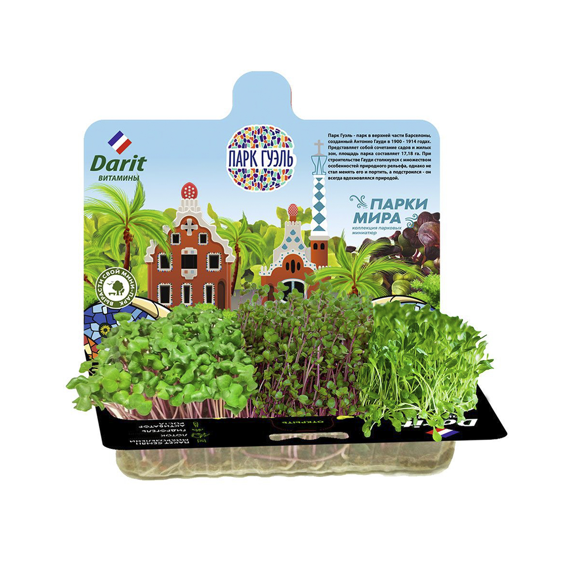 Набор для выращивания микрозелени (капуста, салат, мизуна) 3 г (1/40) "дарит"