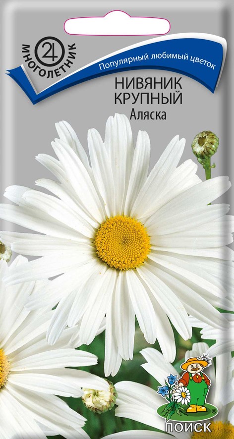 Семена цветов нивяник крупный "аляска" ("м) 0,5 г (10/100) "поиск"
