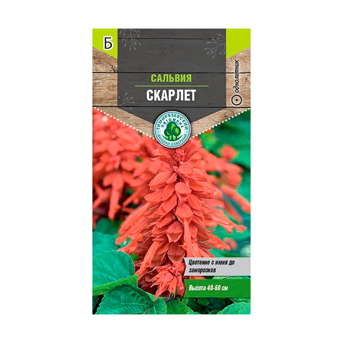 Семена цветов сальвия "скарлет" 0,1 г (10) "тимирязевский питомник"