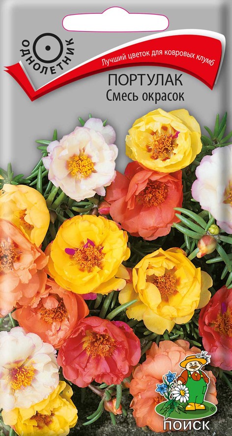 Семена цветов портулак смесь окрасок ("1) 0,1 г (10/100) "поиск"