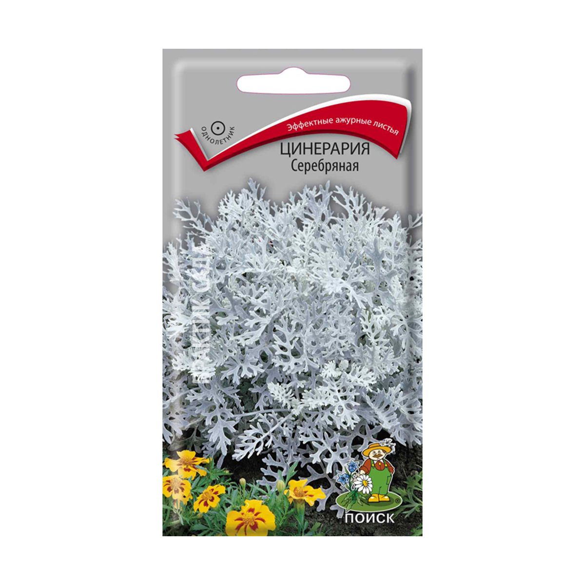 Семена цветов цинерария "серебряная" 0,2 г ("1) (10/100) "поиск"
