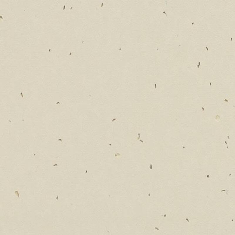 Линолеум Forbo Sphera Energetic 50221 linen - 2.0