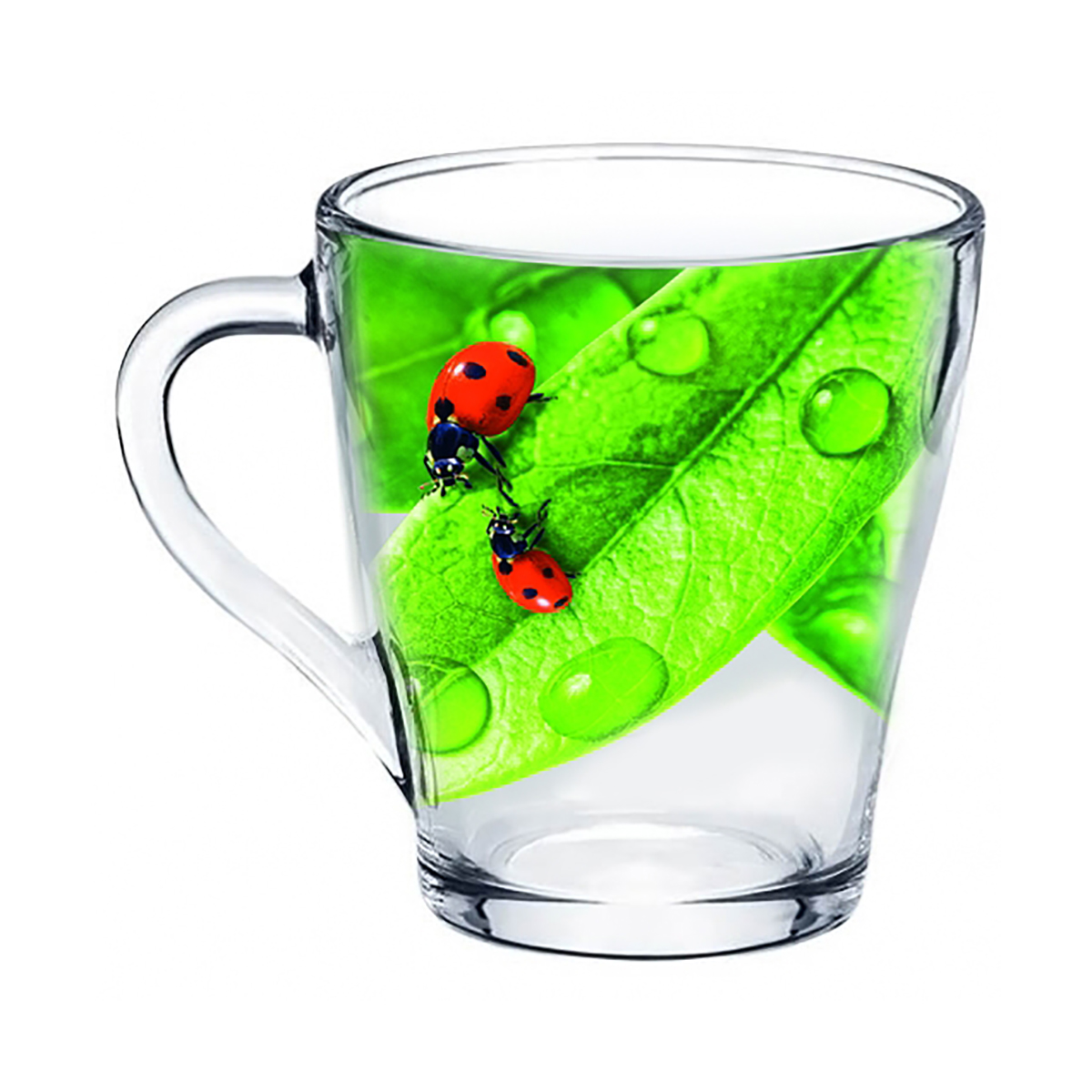 Кружка живая природа "зеленый лист" 250 мл (1/20) "декостек"