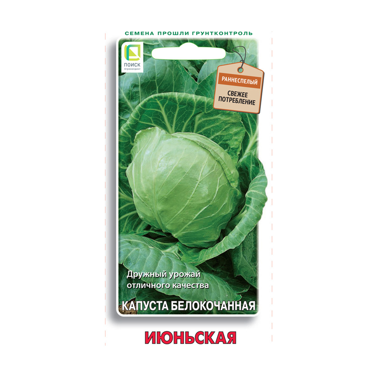 Семена капуста белокочанная "июньская" 0,5 г (10/100) "поиск"