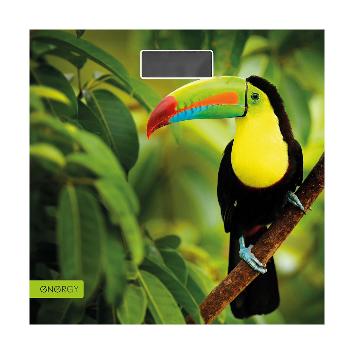 Весы напольные электронные "energy" en-419l (1/6)