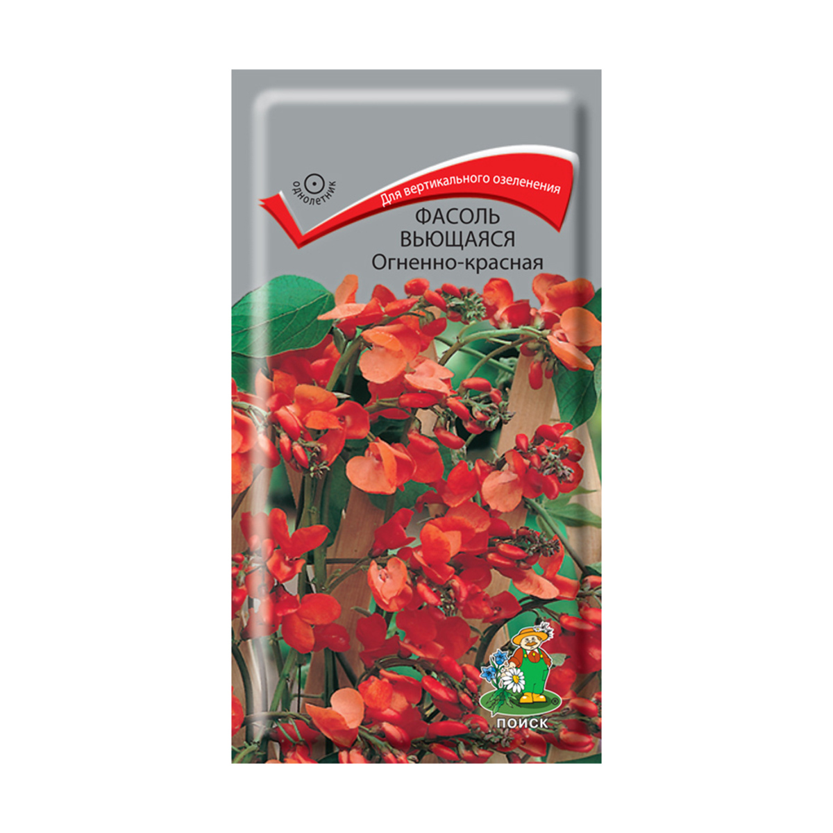 Семена цветов фасоль вьющаяся, огненно-красная 5 шт.("1) (10/100) "поиск"
