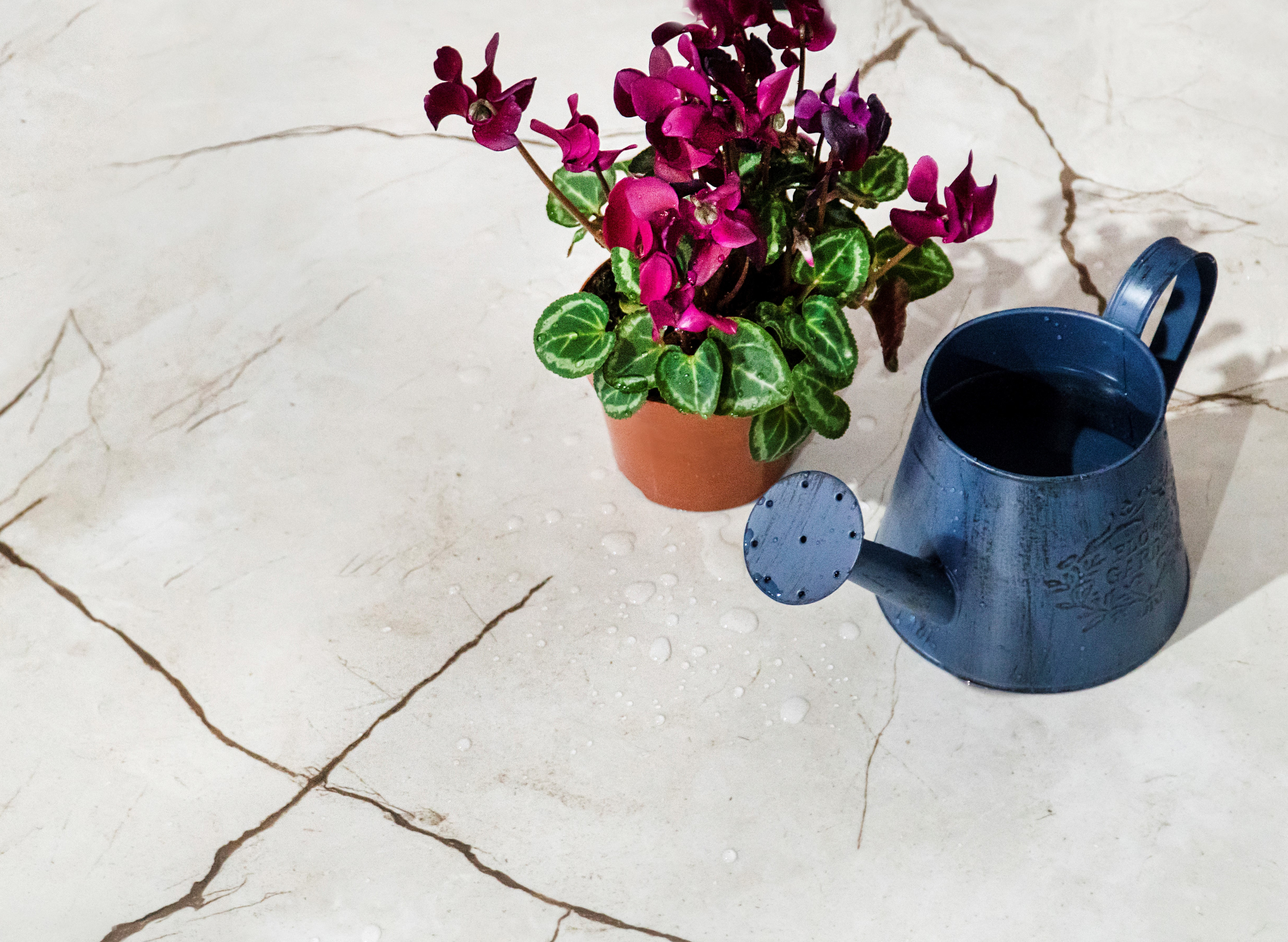 Alice crema керамогранит полированный 60x120